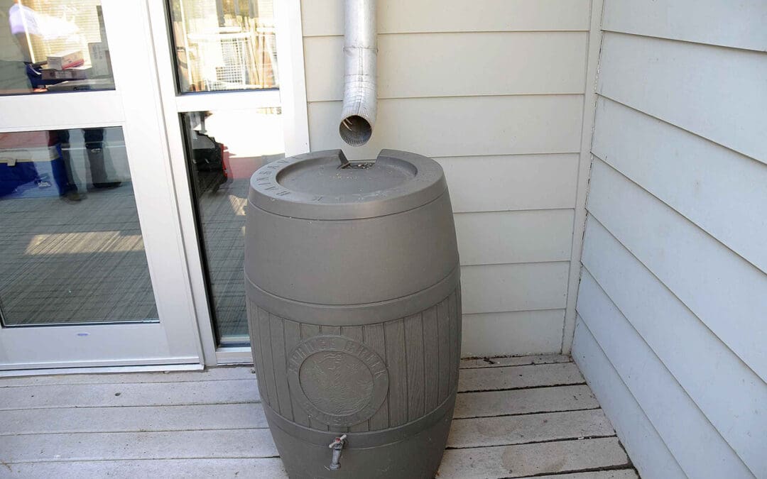 Beat the Heat and the Bill: A Homeowner’s Guide to Conserving Water This Summer