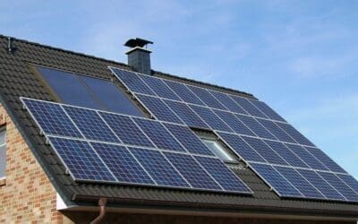 Green From the Ground Up: Eco-Friendly Home Improvements Worth Making